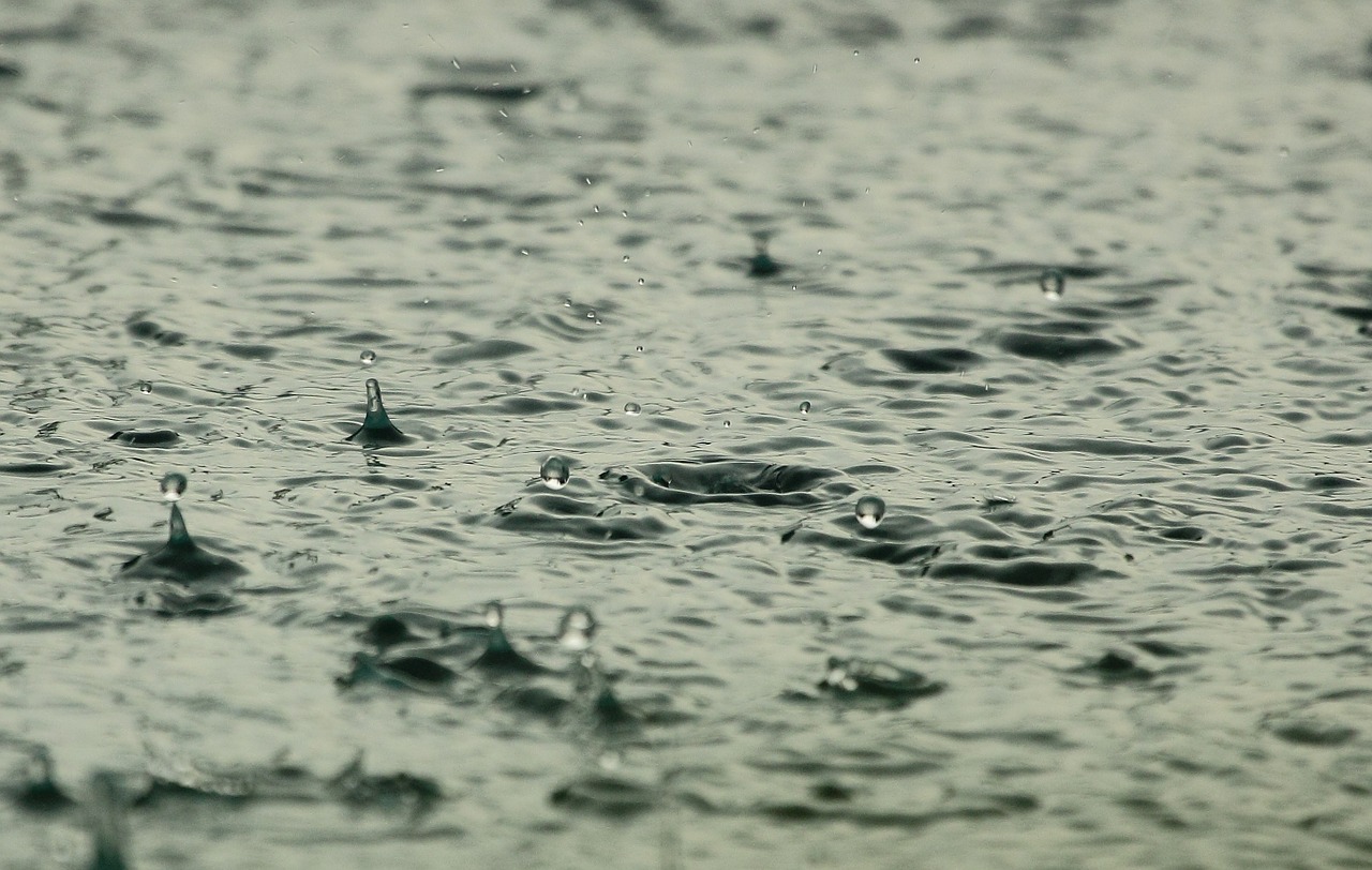 土砂降りの雨の中を友達とドライブする 夢占い 電脳パンダ